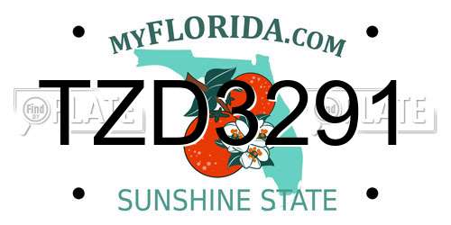 TZD3291 Florida License Plate
