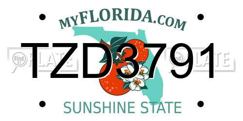 TZD3791 Florida License Plate