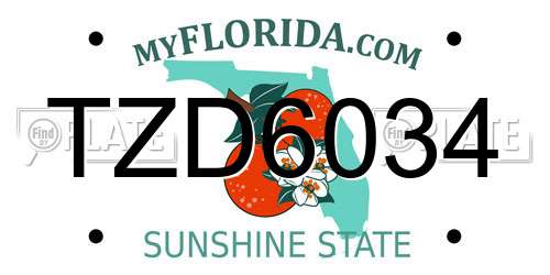TZD6034 Florida License Plate