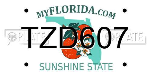 TZD607 Florida License Plate