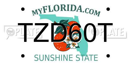 TZD60T Florida License Plate