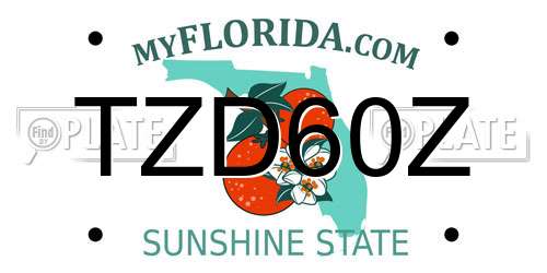 TZD60Z Florida License Plate