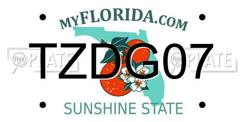 TZDG07 Florida License Plate