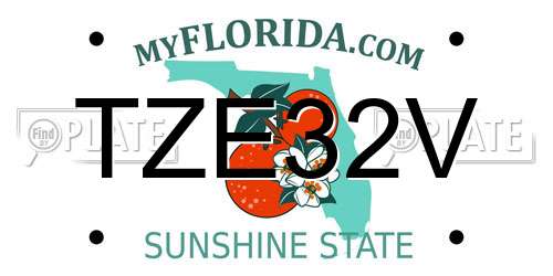 TZE32V Florida License Plate
