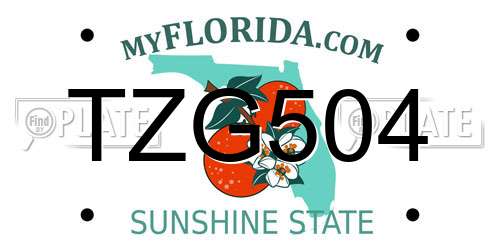TZG504 Florida License Plate