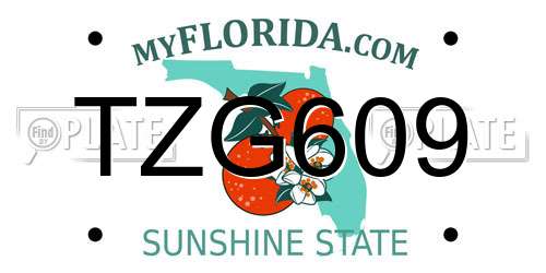 TZG609 Florida License Plate