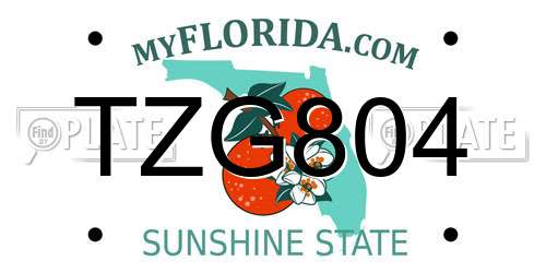 TZG804 Florida License Plate