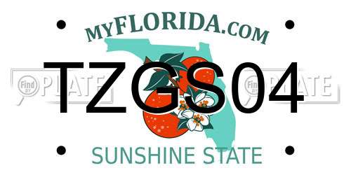 TZGS04 Florida License Plate