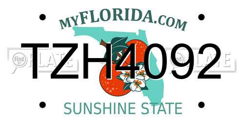 TZH4092 Florida License Plate