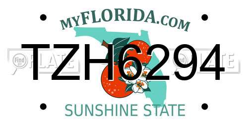 TZH6294 Florida License Plate