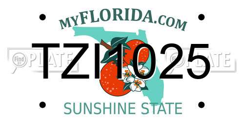 TZI1025 Florida License Plate