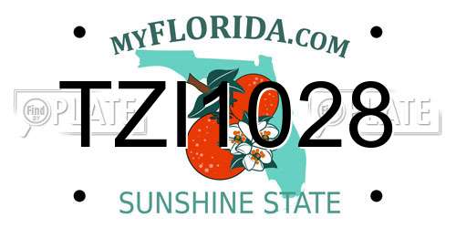 TZI1028 Florida License Plate
