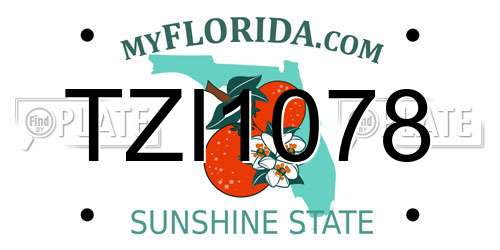 TZI1078 Florida License Plate