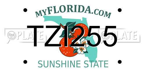 TZI255 Florida License Plate