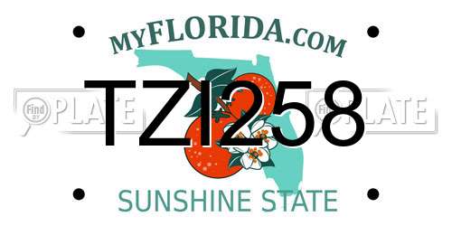 TZI258 Florida License Plate