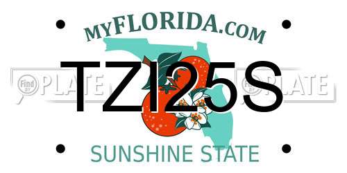 TZI25S Florida License Plate