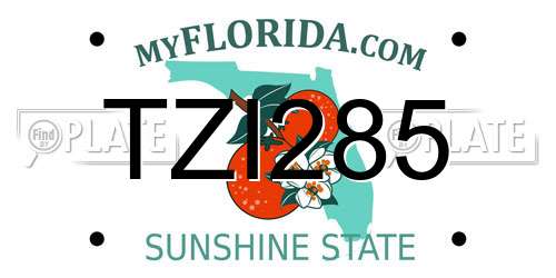 TZI285 Florida License Plate
