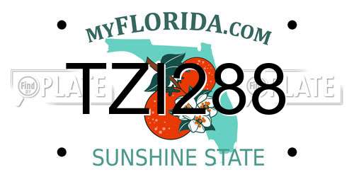 TZI288 Florida License Plate