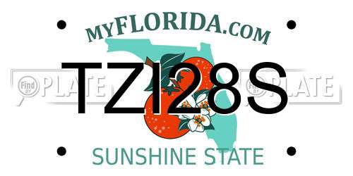 TZI28S Florida License Plate