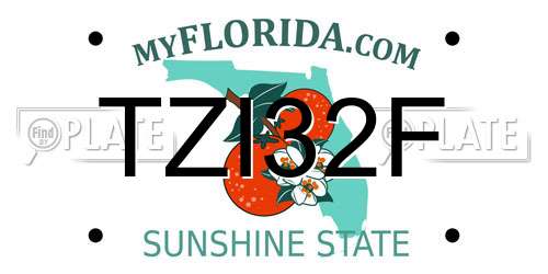 TZI32F Florida License Plate