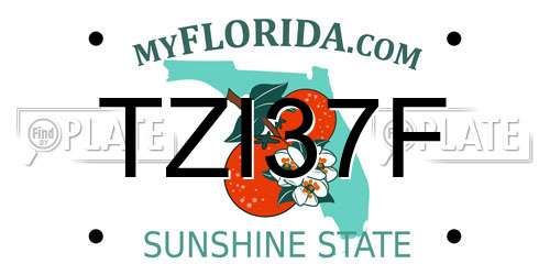 TZI37F Florida License Plate