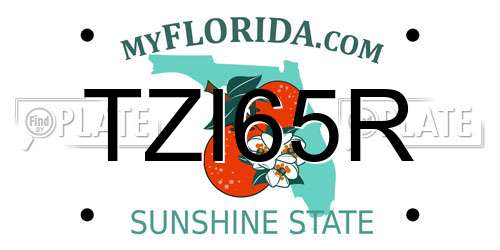 TZI65R Florida License Plate