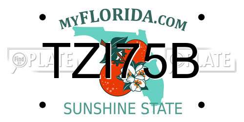 TZI75B Florida License Plate
