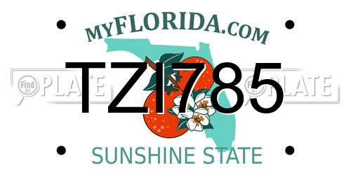 TZI785 Florida License Plate