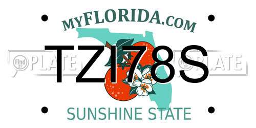 TZI78S Florida License Plate