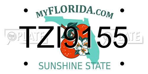 TZI9155 Florida License Plate
