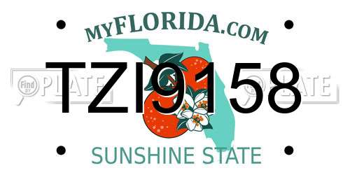 TZI9158 Florida License Plate