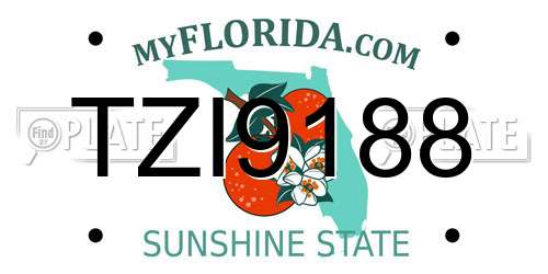 TZI9188 Florida License Plate