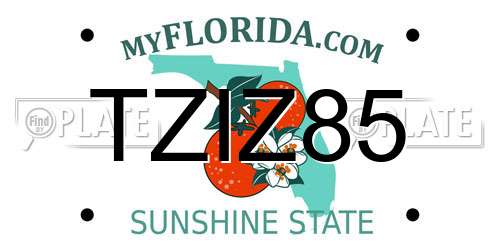 TZIZ85 Florida License Plate