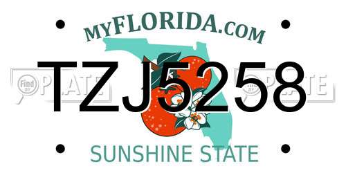 TZJ5258 Florida License Plate
