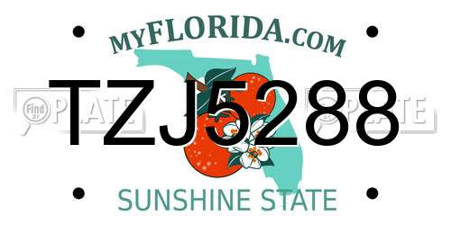 TZJ5288 Florida License Plate