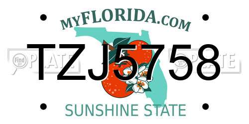 TZJ5758 Florida License Plate