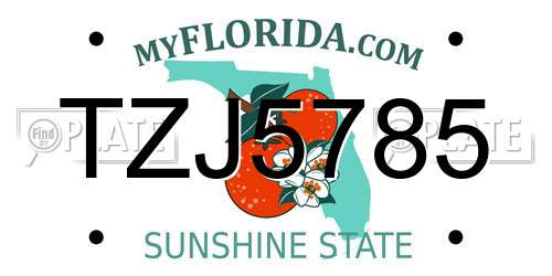TZJ5785 Florida License Plate