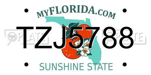 TZJ5788 Florida License Plate