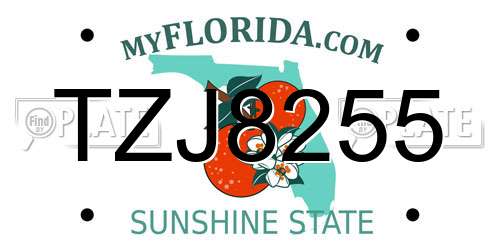 TZJ8255 Florida License Plate