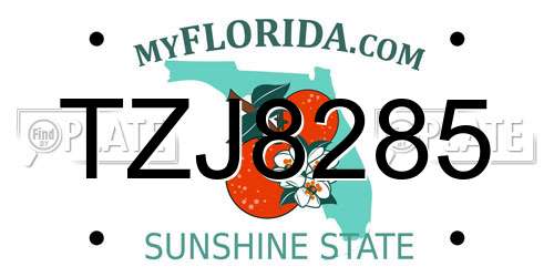 TZJ8285 Florida License Plate