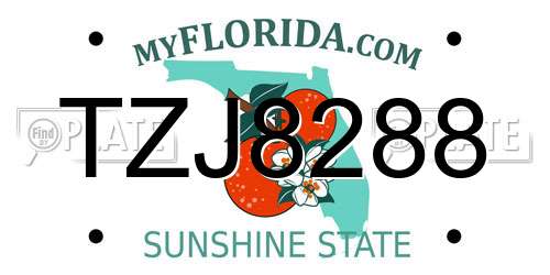 TZJ8288 Florida License Plate