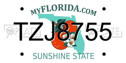 TZJ8755 Florida License Plate