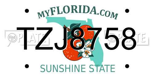 TZJ8758 Florida License Plate