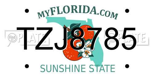TZJ8785 Florida License Plate
