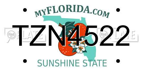TZN4522 Florida License Plate