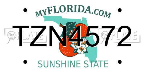TZN4572 Florida License Plate
