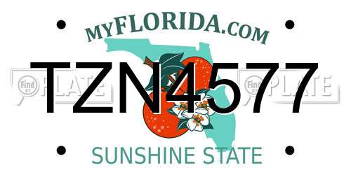 TZN4577 Florida License Plate