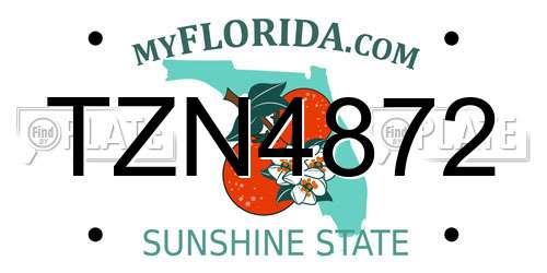 TZN4872 Florida License Plate