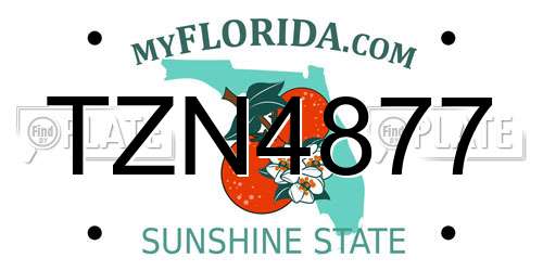 TZN4877 Florida License Plate