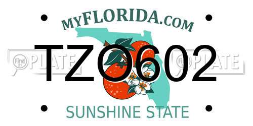 TZO602 Florida License Plate